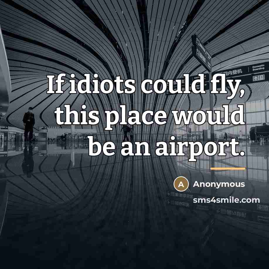“If idiots could fly, this place would be an airport.…” quote by Anonymous