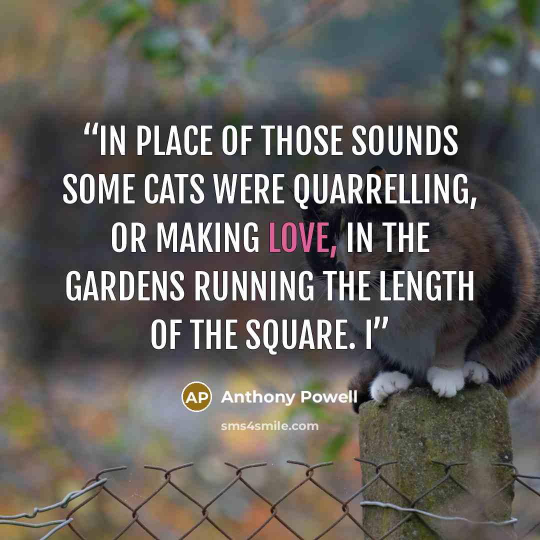 “In place of those sounds some cats were quarrelling, or making love, in the gardens running the length of the square. I” quote by Anthony Powell