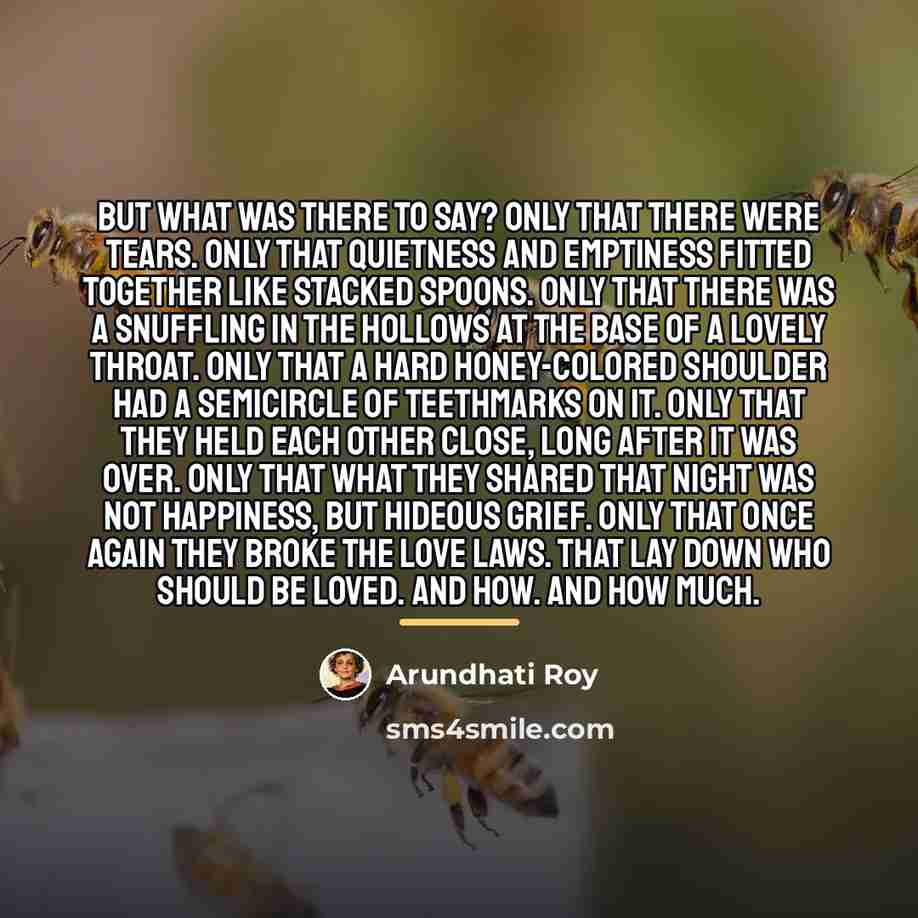 “But what was there to say? Only that there were…” quote by Arundhati Roy