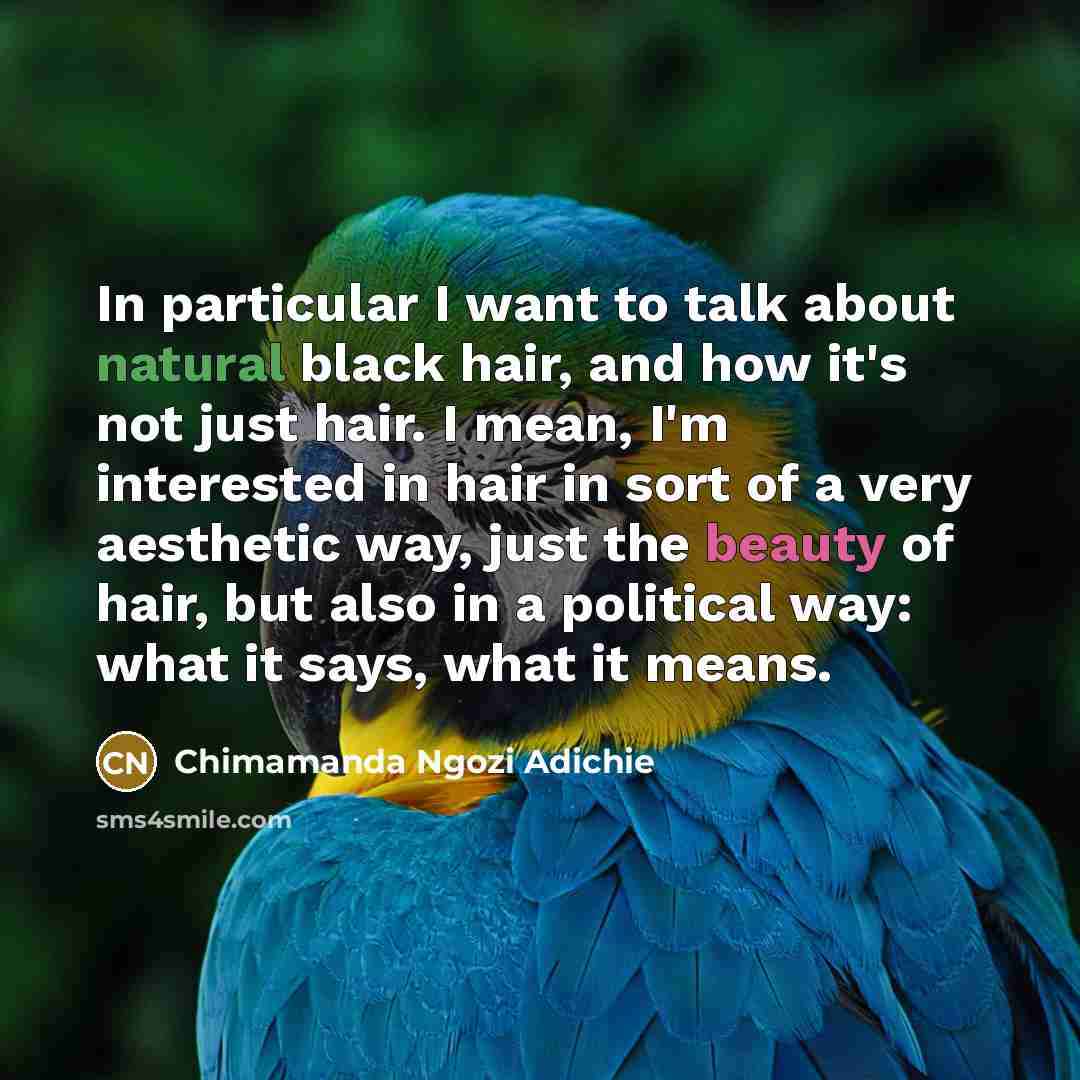 “In particular I want to talk about natural black hair,…” quote by Chimamanda Ngozi Adichie