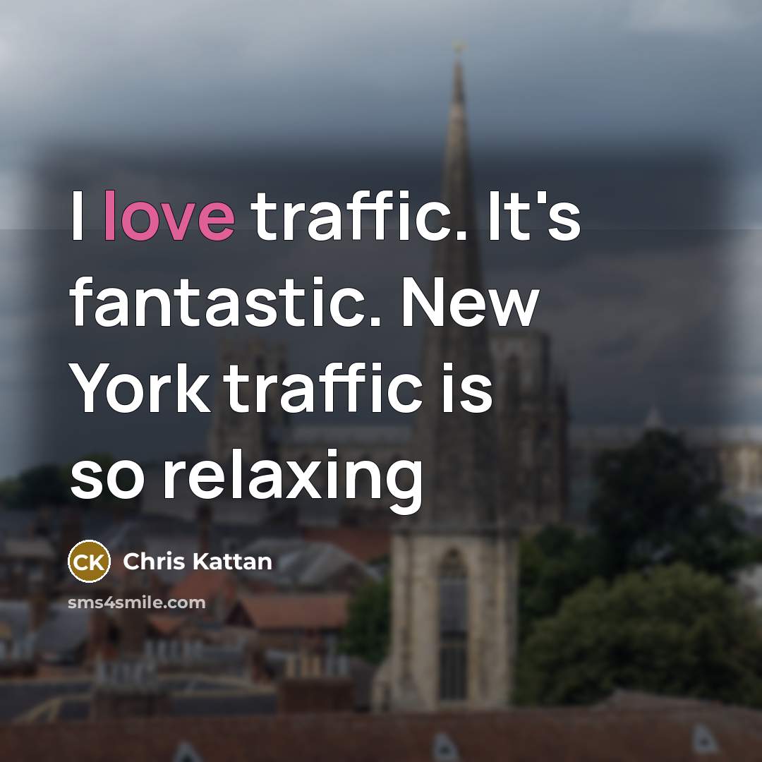 “I love traffic. It's fantastic. New York traffic is so…” quote by Chris Kattan