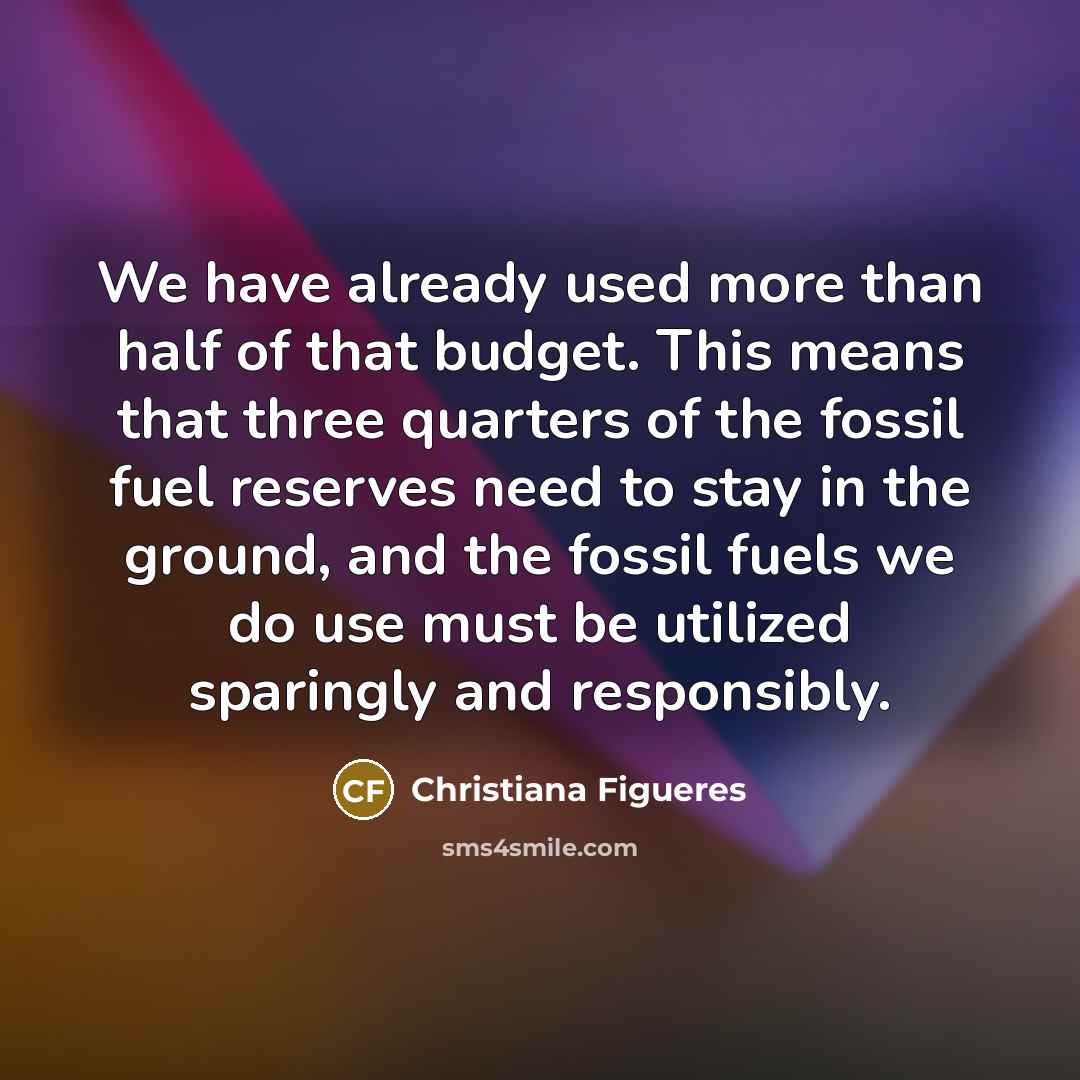 “We have already used more than half of that budget.…” quote by Christiana Figueres