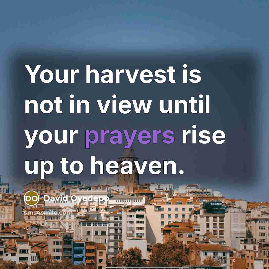 “Your harvest is not in view until your prayers rise…” quote by David Oyedepo