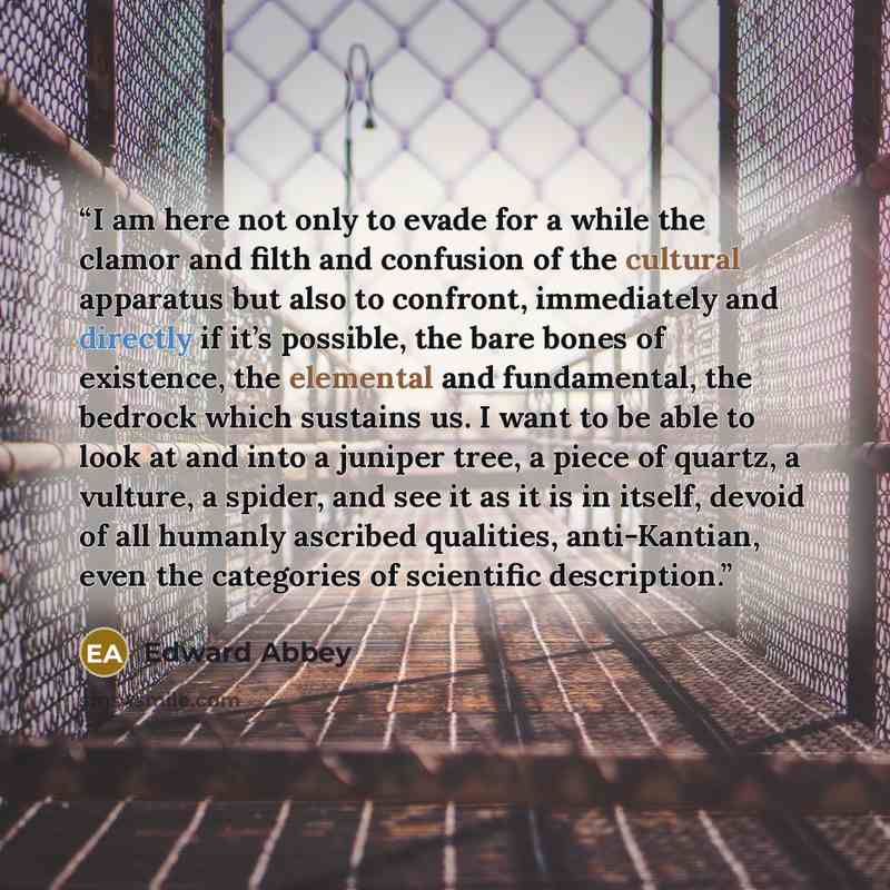 “I am here not only to evade for a while the clamor and filth and confusion of the cultural apparatus but also to confront, immediately and directly if it’s possible, the bare bones of existence, the elemental and fundamental, the bedrock which sustains us. I want to be able to look at and into a…” quote by Edward Abbey