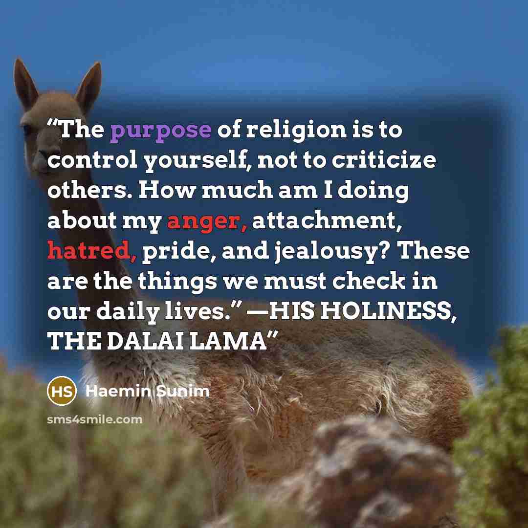 “The purpose of religion is to control yourself, not to criticize others. How much am I doing about my anger, attachment, hatred, pride, and jealousy? These are the things we must check in our daily lives.” —HIS HOLINESS, THE DALAI LAMA” quote by Haemin Sunim
