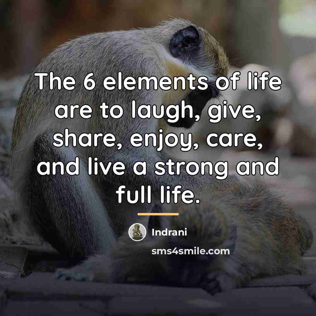 “The 6 elements of life are to laugh, give, share,…” quote by Anonymous