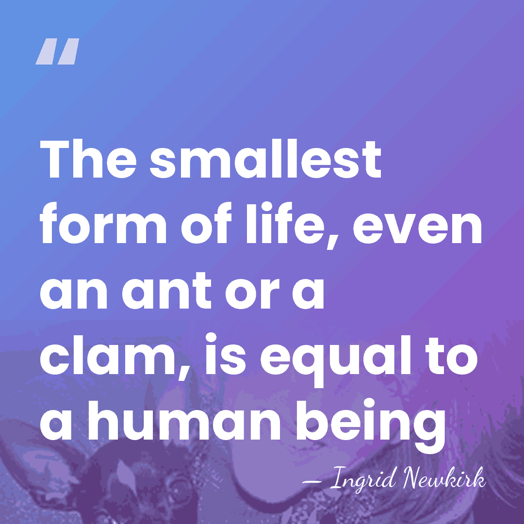 The smallest form of life, even an ant or a clam, is&hellip; - Ingrid Newkirk