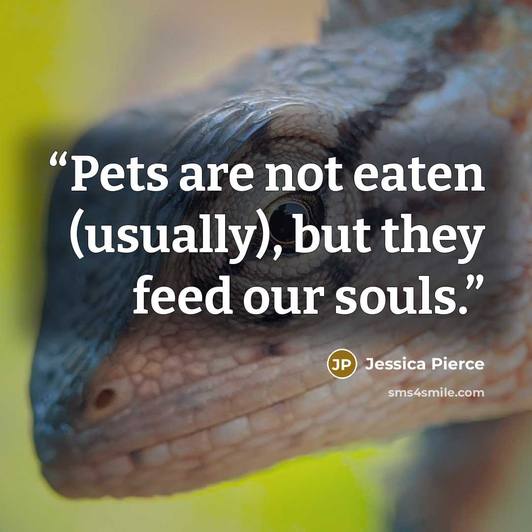 “Pets are not eaten (usually), but they feed our souls.” quote by Jessica Pierce