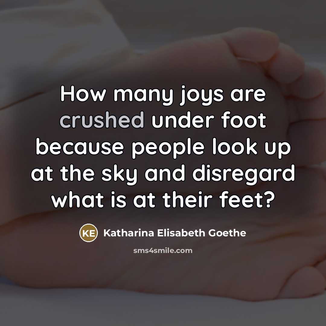 “How many joys are crushed under foot because people look…” quote by Katharina Elisabeth Goethe