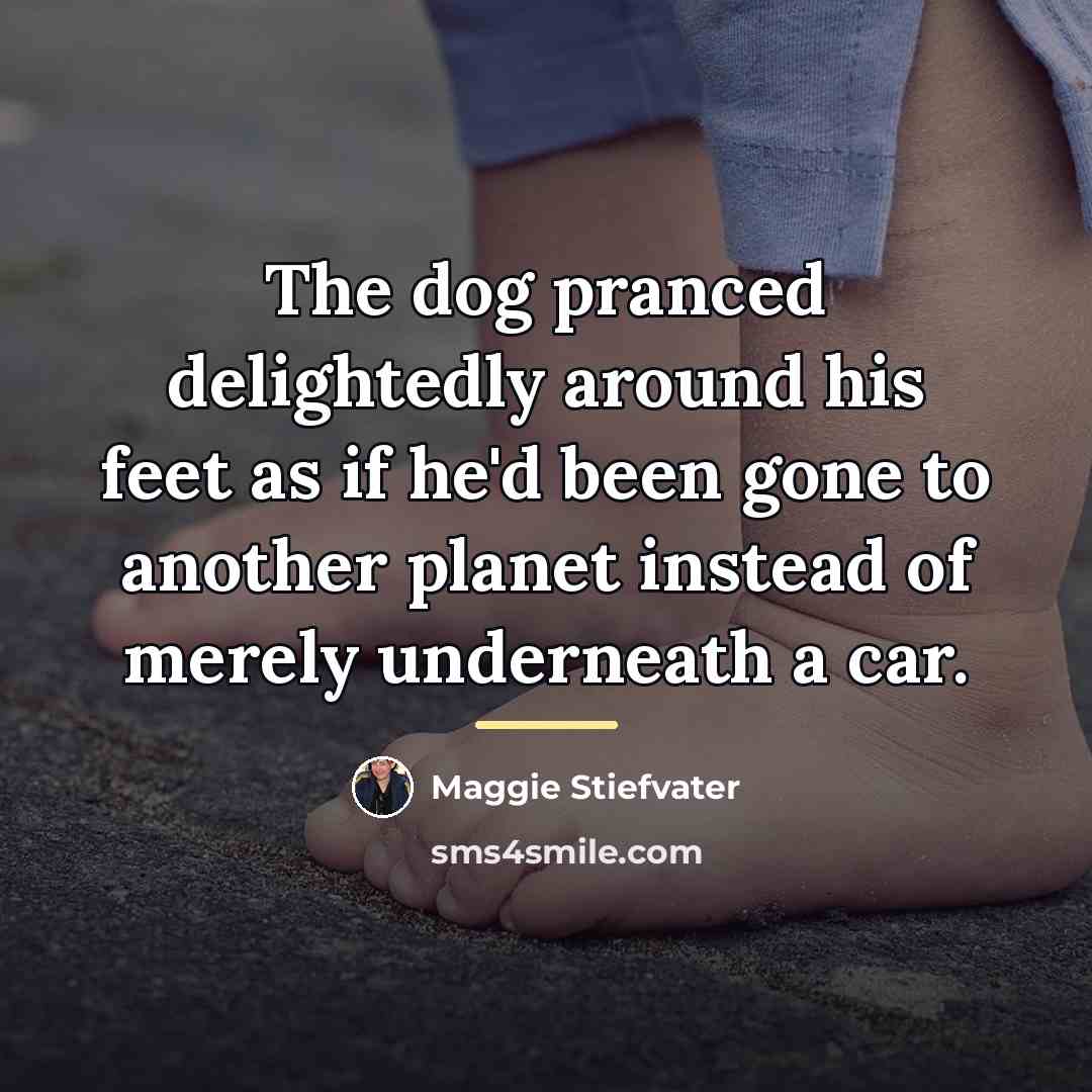 “The dog pranced delightedly around his feet as if he'd…” quote by Maggie Stiefvater