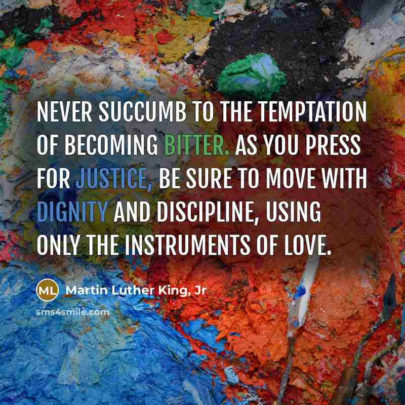 “Never succumb to the temptation of becoming bitter. As you…” quote by Martin Luther King, Jr
