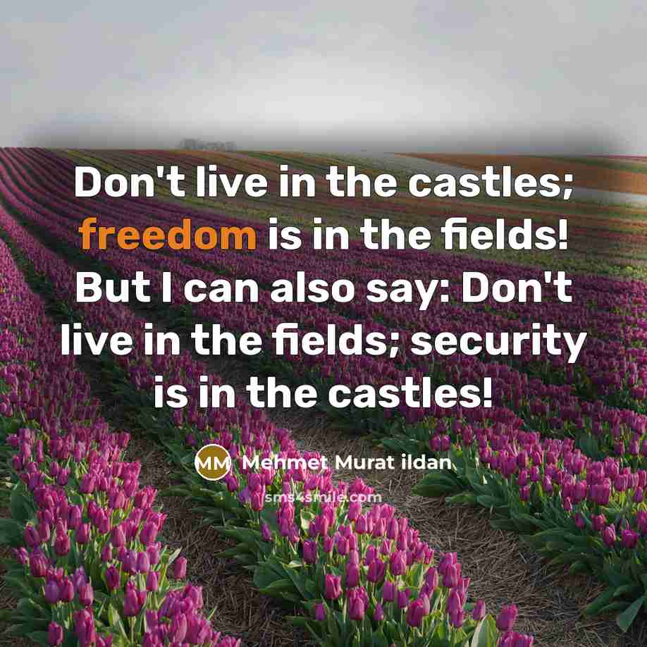 “Don't live in the castles; freedom is in the fields!…” quote by Mehmet Murat Ildan