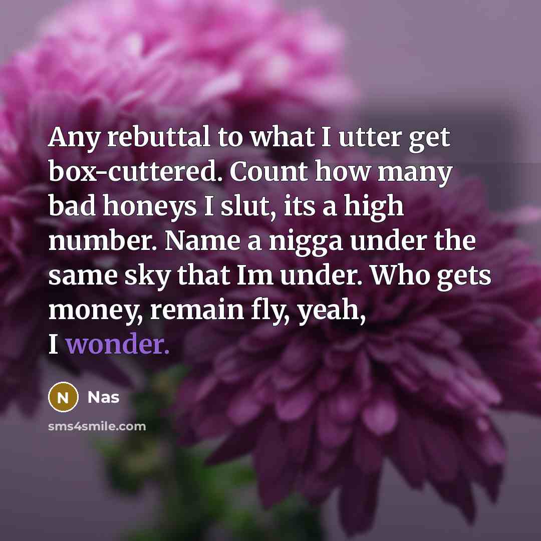 “Any rebuttal to what I utter get box-cuttered. Count how many bad honeys I slut, its a high number. Name a nigga under the same sky that Im under. Who gets money, remain fly, yeah, I wonder.” quote by Nas