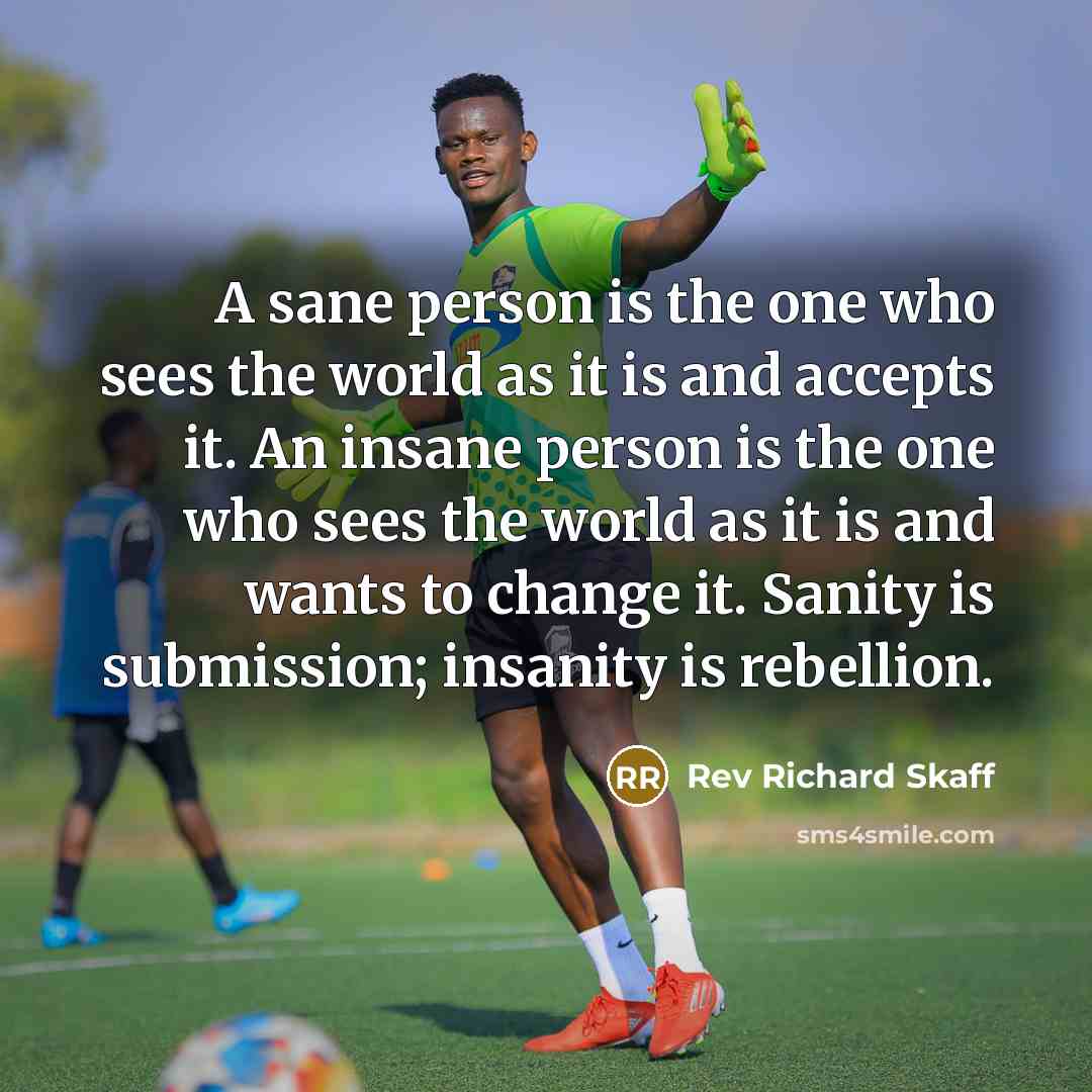 “A sane person is the one who sees the world…” quote by Rev Richard Skaff
