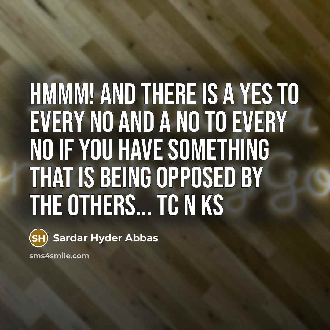 “Hmmm! and there is a Yes to every No and…” quote by Sardar Hyder Abbas