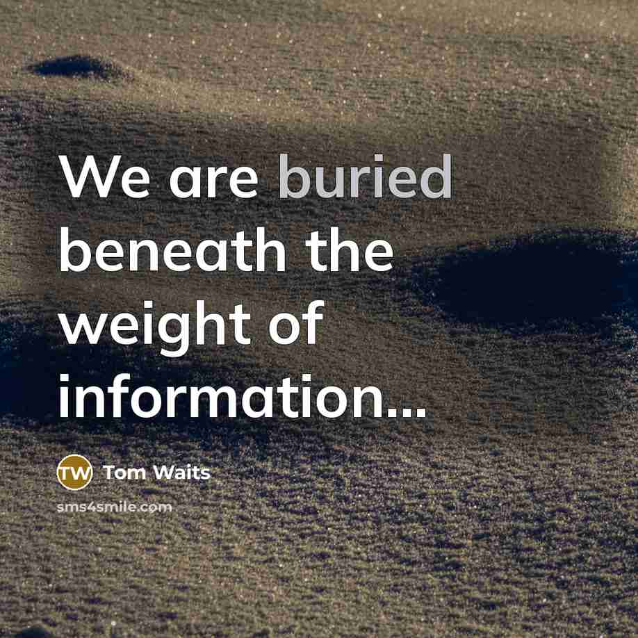 “We are buried beneath the weight of information...…” quote by Tom Waits