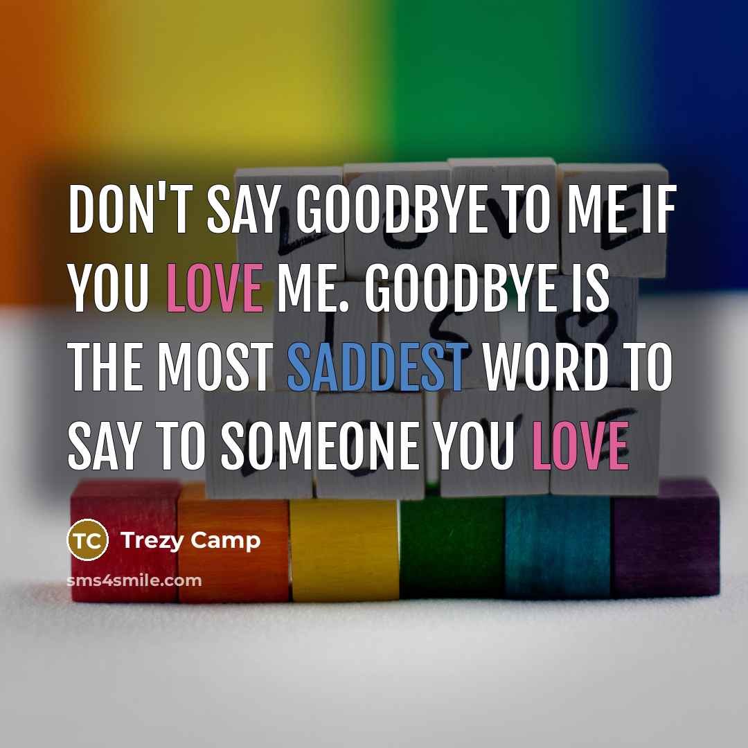 “Don't say Goodbye to me if you love me. Goodbye is the most saddest word to say to someone you love” quote by Trezy Camp