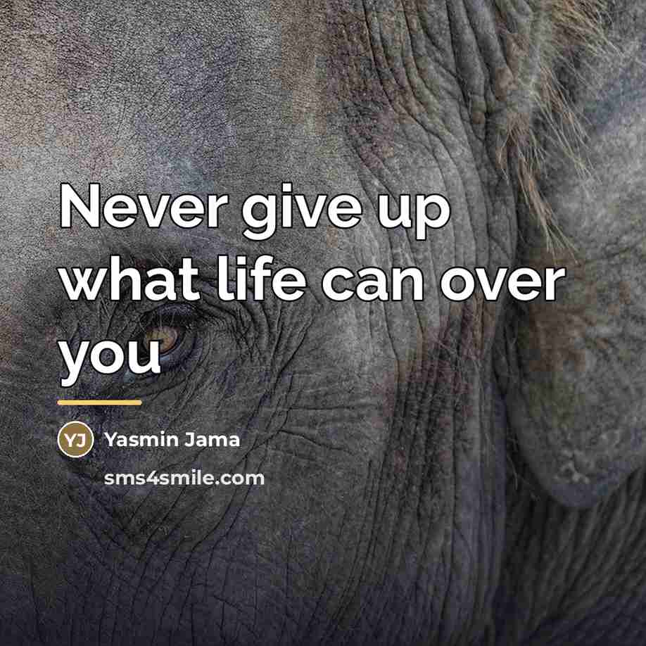 “Never give up what life can over you…” quote by Yasmin Jama
