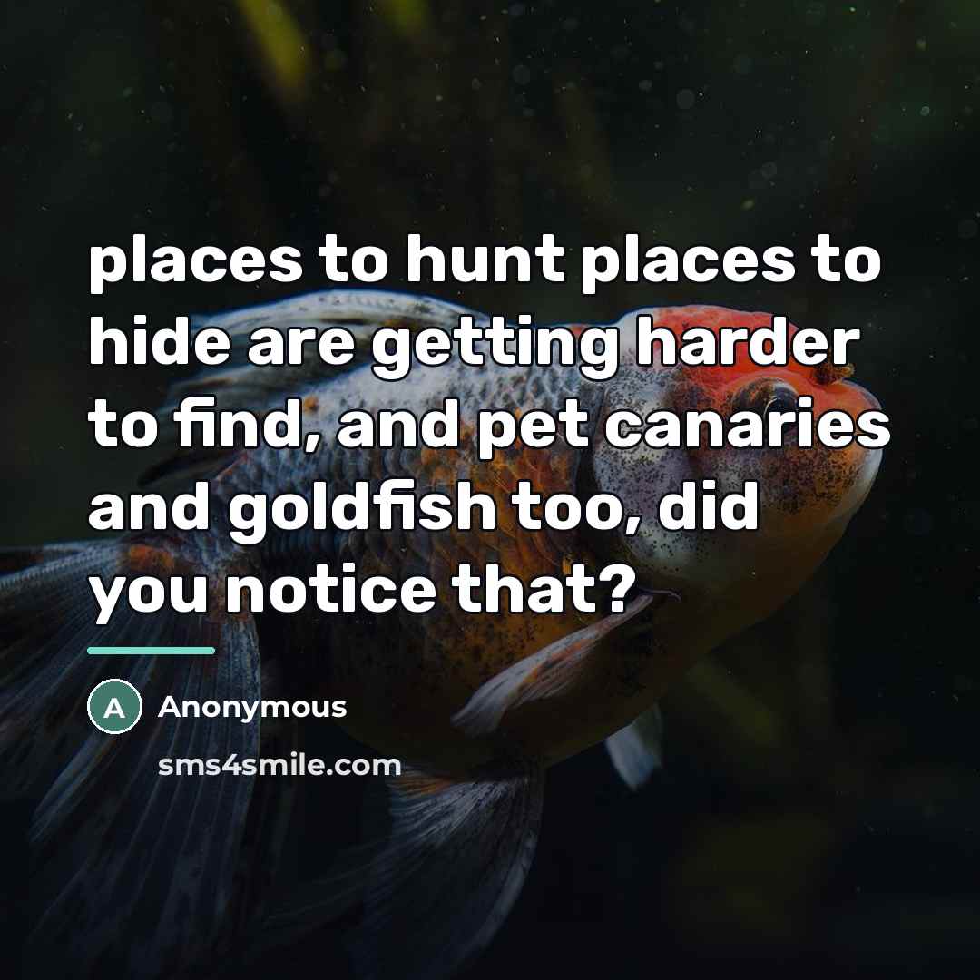 “places to hunt places to hide are getting harder to…” quote by Anonymous