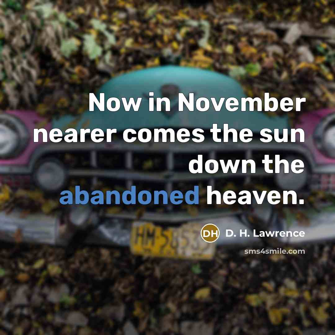 “Now in November nearer comes the sun down the abandoned…” quote by D. H. Lawrence