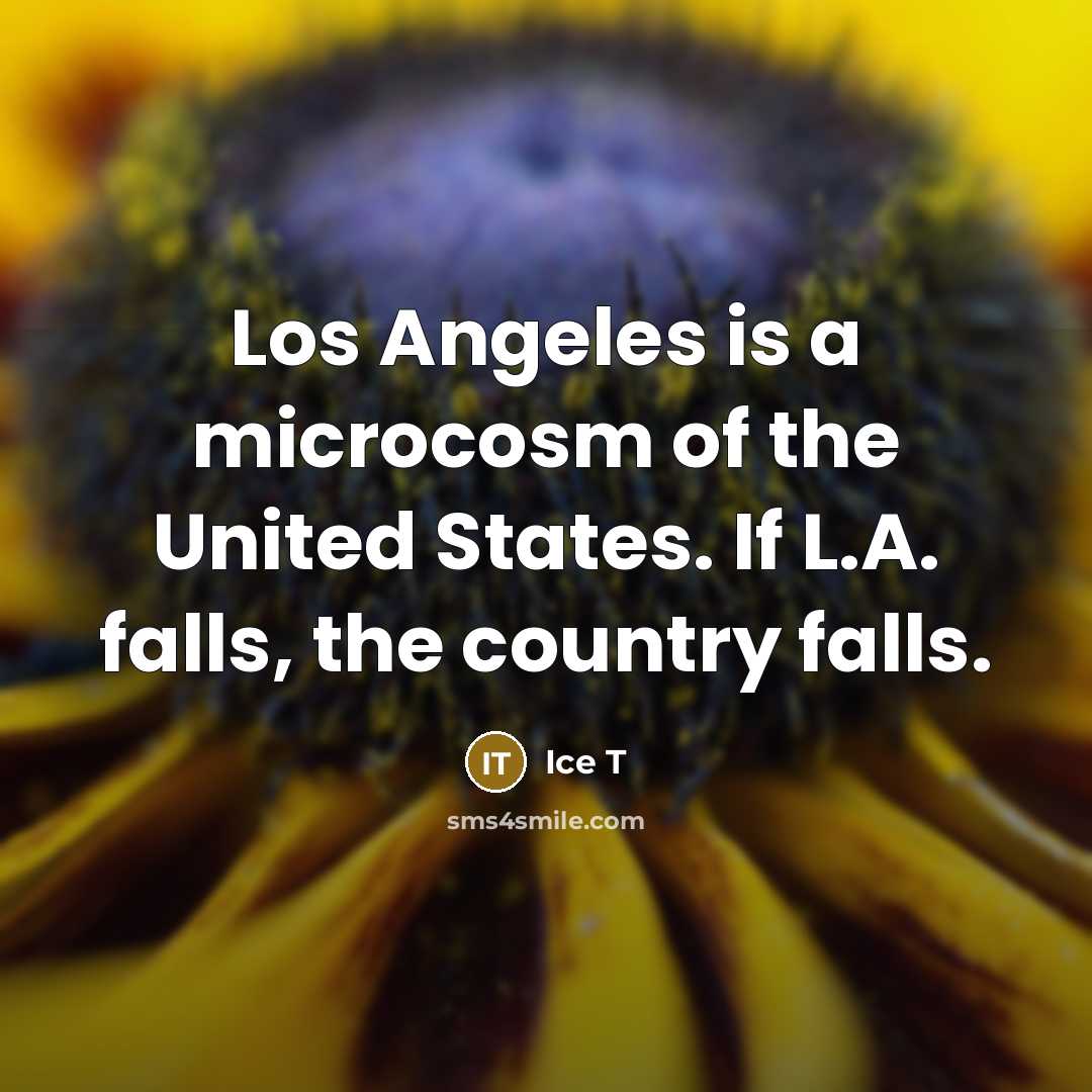 “Los Angeles is a microcosm of the United States. If…” quote by Ice T
