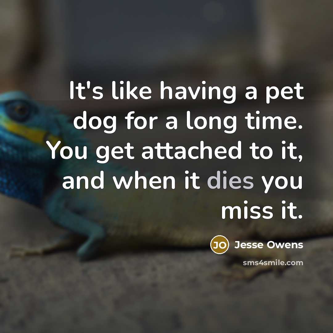 “It's like having a pet dog for a long time. You get attached to it, and when it dies you miss it.” quote by Jesse Owens