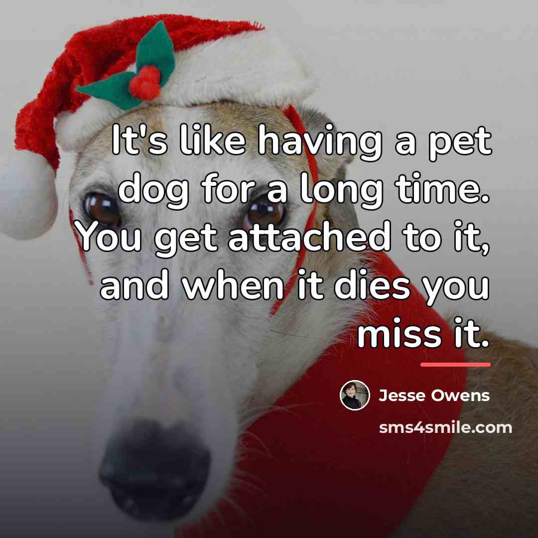 “It's like having a pet dog for a long time.…” quote by Jesse Owens