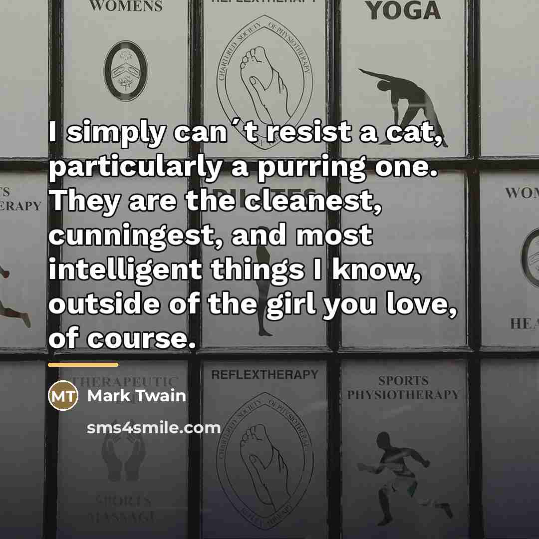 “I simply can´t resist a cat, particularly a purring one.…” quote by Mark Twain