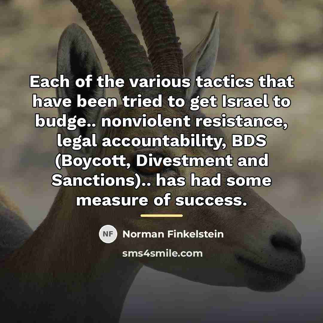 “Each of the various tactics that have been tried to…” quote by Norman Finkelstein