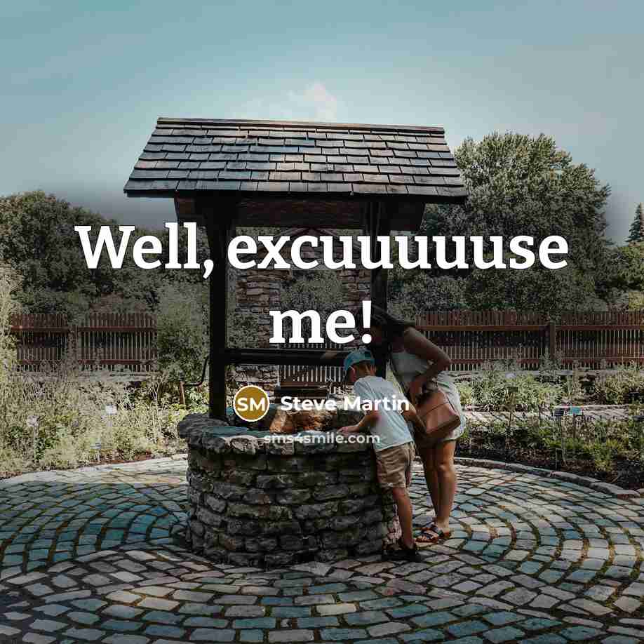 “Well, excuuuuuse me!…” quote by Steve Martin