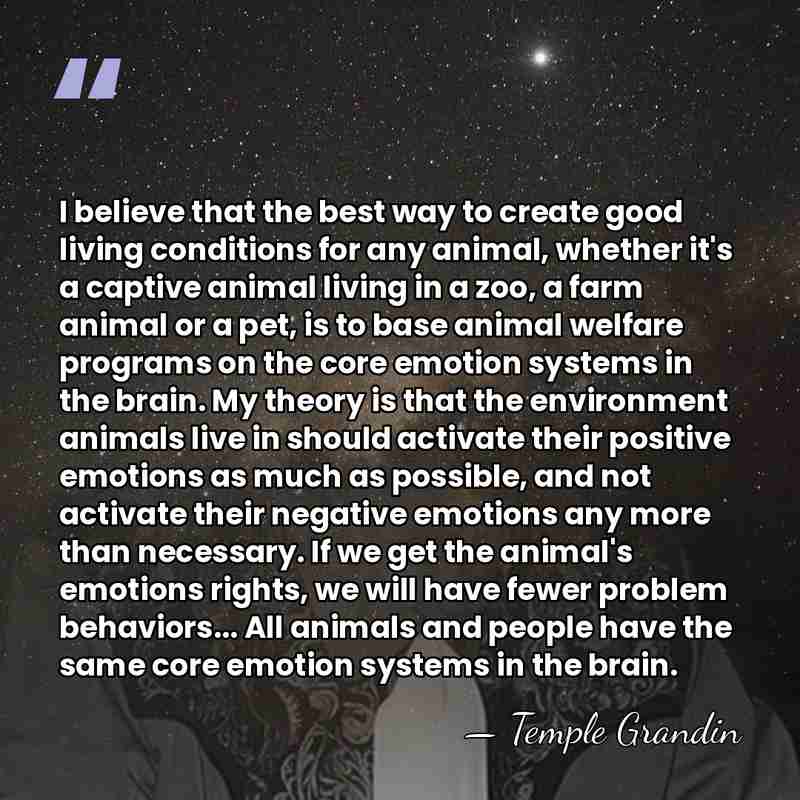 I believe that the best way to create good living conditions for&hellip; - Temple Grandin