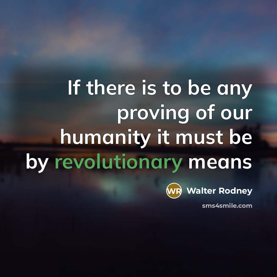 “If there is to be any proving of our humanity…” quote by Walter Rodney