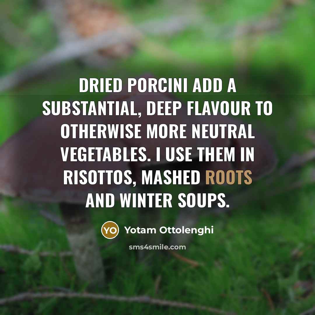 “Dried porcini add a substantial, deep flavour to otherwise more…” quote by Yotam Ottolenghi