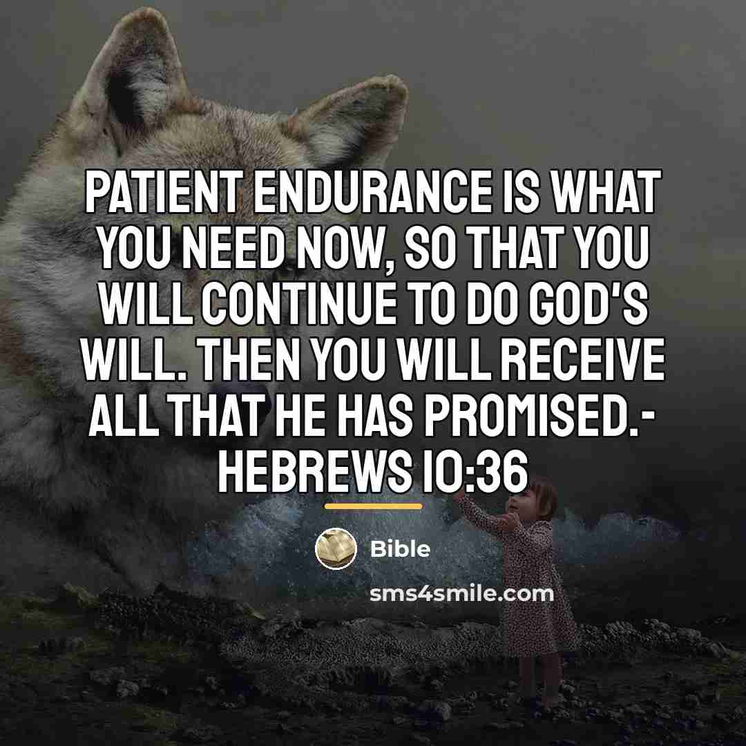 “Patient endurance is what you need now, so that you…” quote by Bible