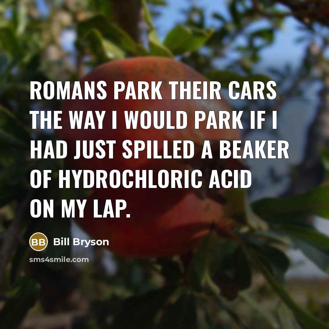 “Romans park their cars the way I would park if…” quote by Bill Bryson