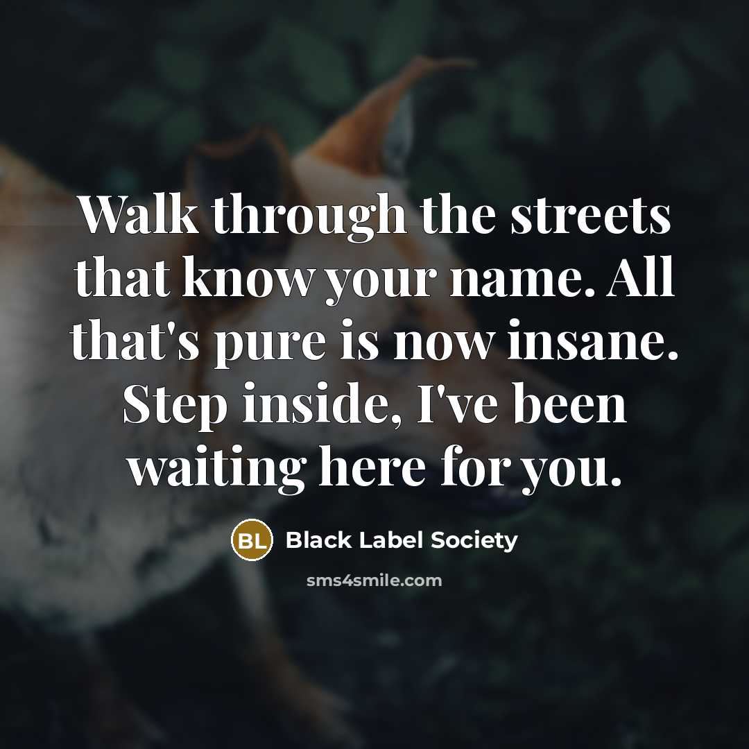 “Walk through the streets that know your name. All that's…” quote by Black Label Society