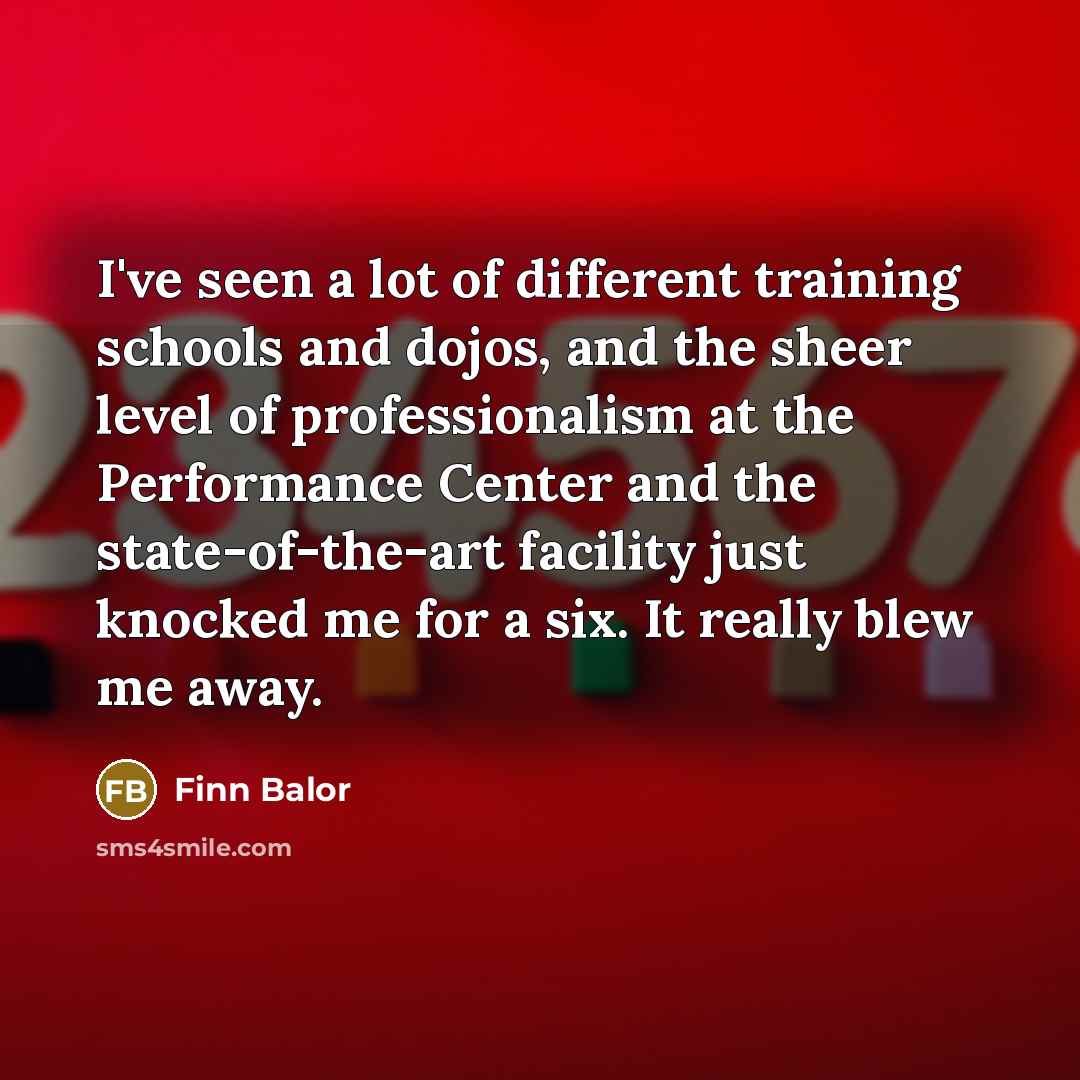 “I've seen a lot of different training schools and dojos,…” quote by Finn Balor