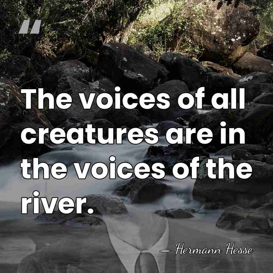 The voices of all creatures are in the voices of the river. - Hermann Hesse