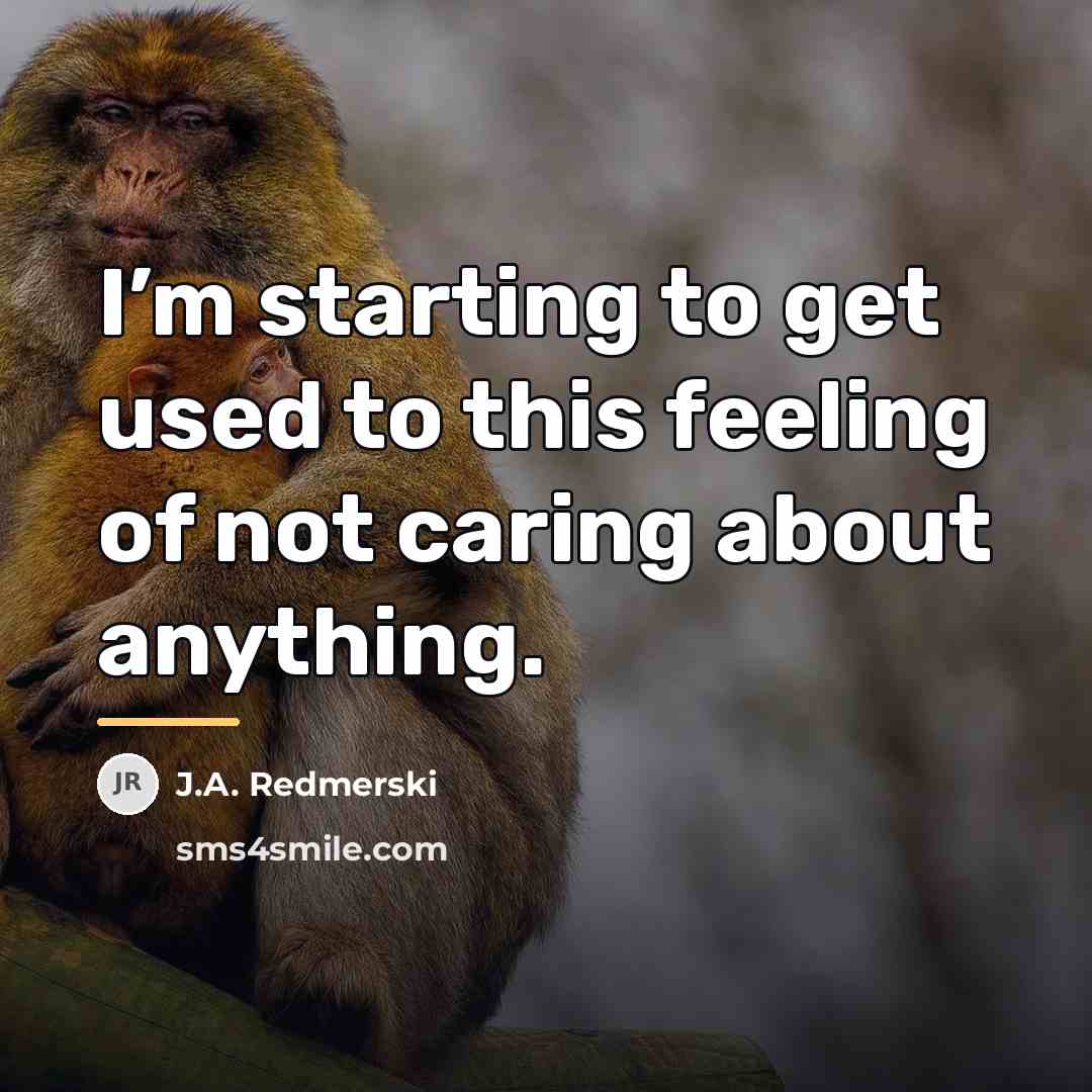 “I’m starting to get used to this feeling of not…” quote by J.A. Redmerski