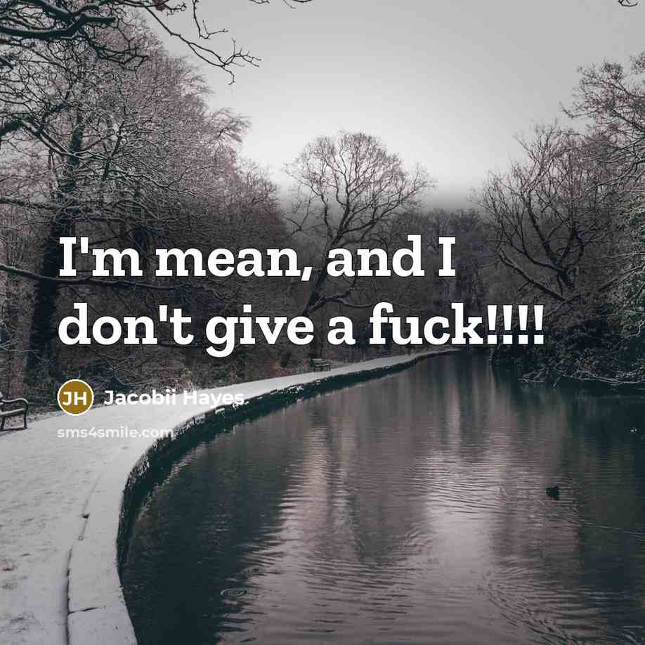 “I'm mean, and I don't give a fuck!!!!” quote by Jacobii Hayes