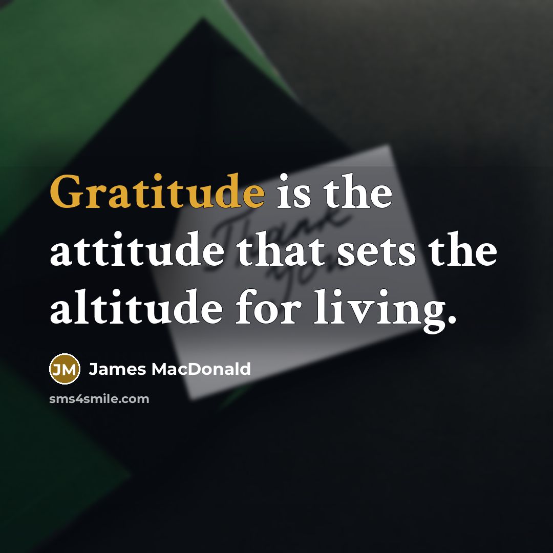“Gratitude is the attitude that sets the altitude for living.…” quote by James MacDonald