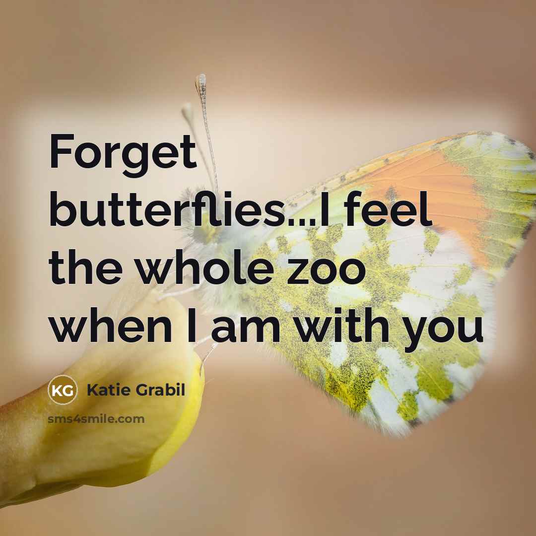 “Forget butterflies...I feel the whole zoo when I am with you” quote by Katie Grabil
