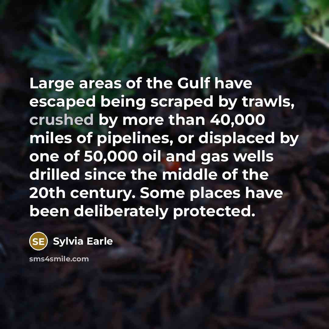 “Large areas of the Gulf have escaped being scraped by…” quote by Sylvia Earle