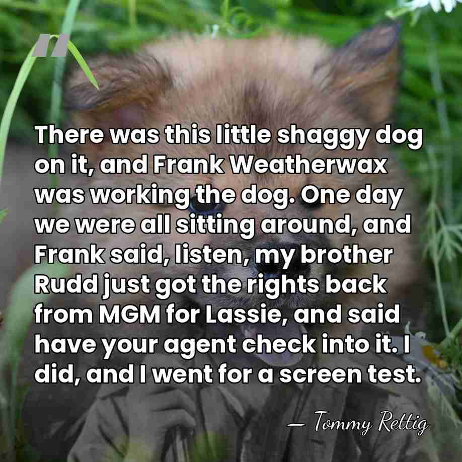There was this little shaggy dog on it, and Frank Weatherwax was&hellip; - Tommy Rettig