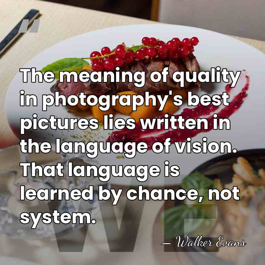 The meaning of quality in photography's best pictures lies written in the&hellip; - Walker Evans