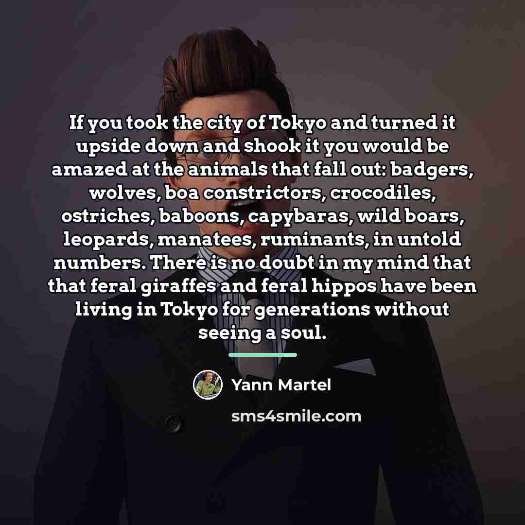 “If you took the city of Tokyo and turned it…” quote by Yann Martel