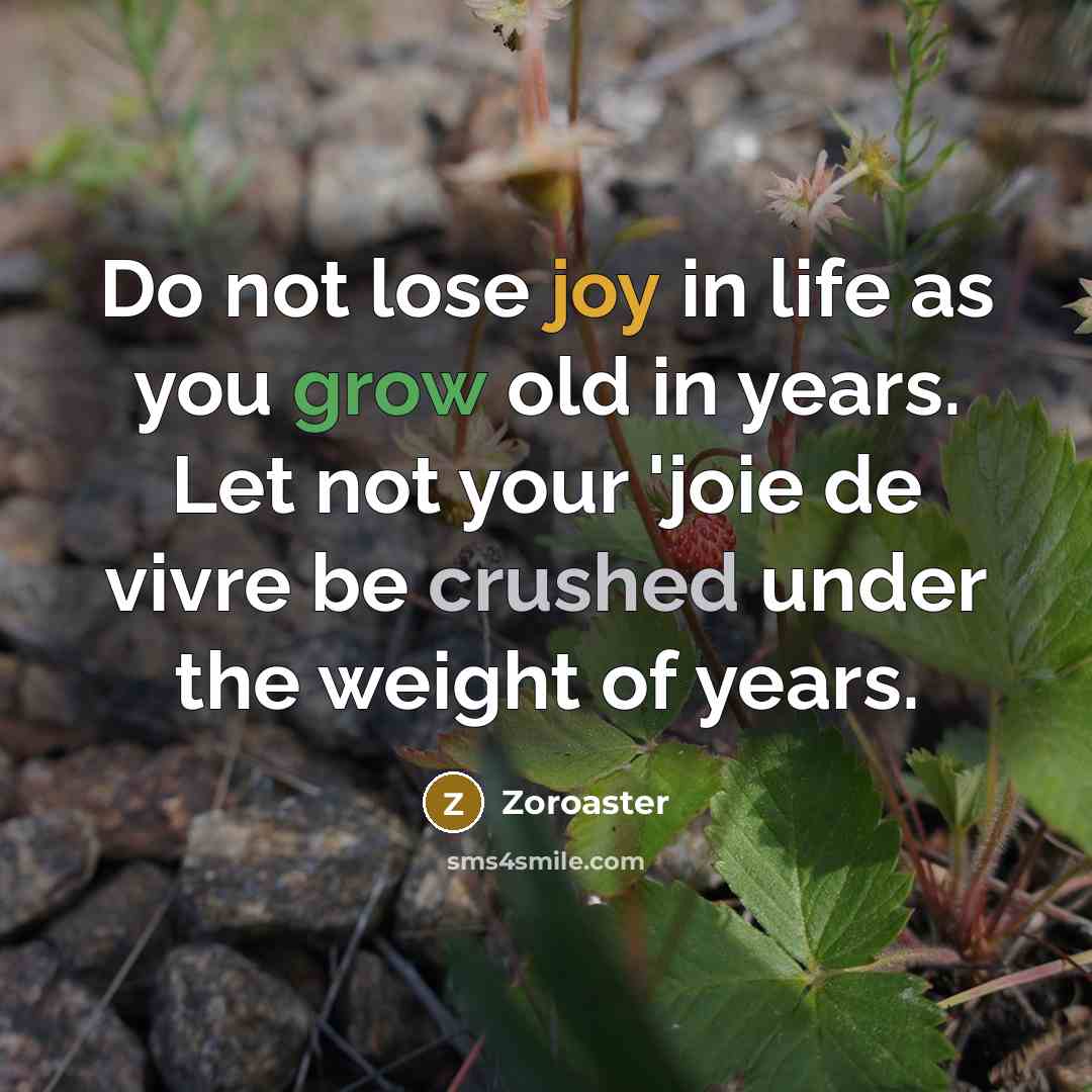 “Do not lose joy in life as you grow old…” quote by Zoroaster