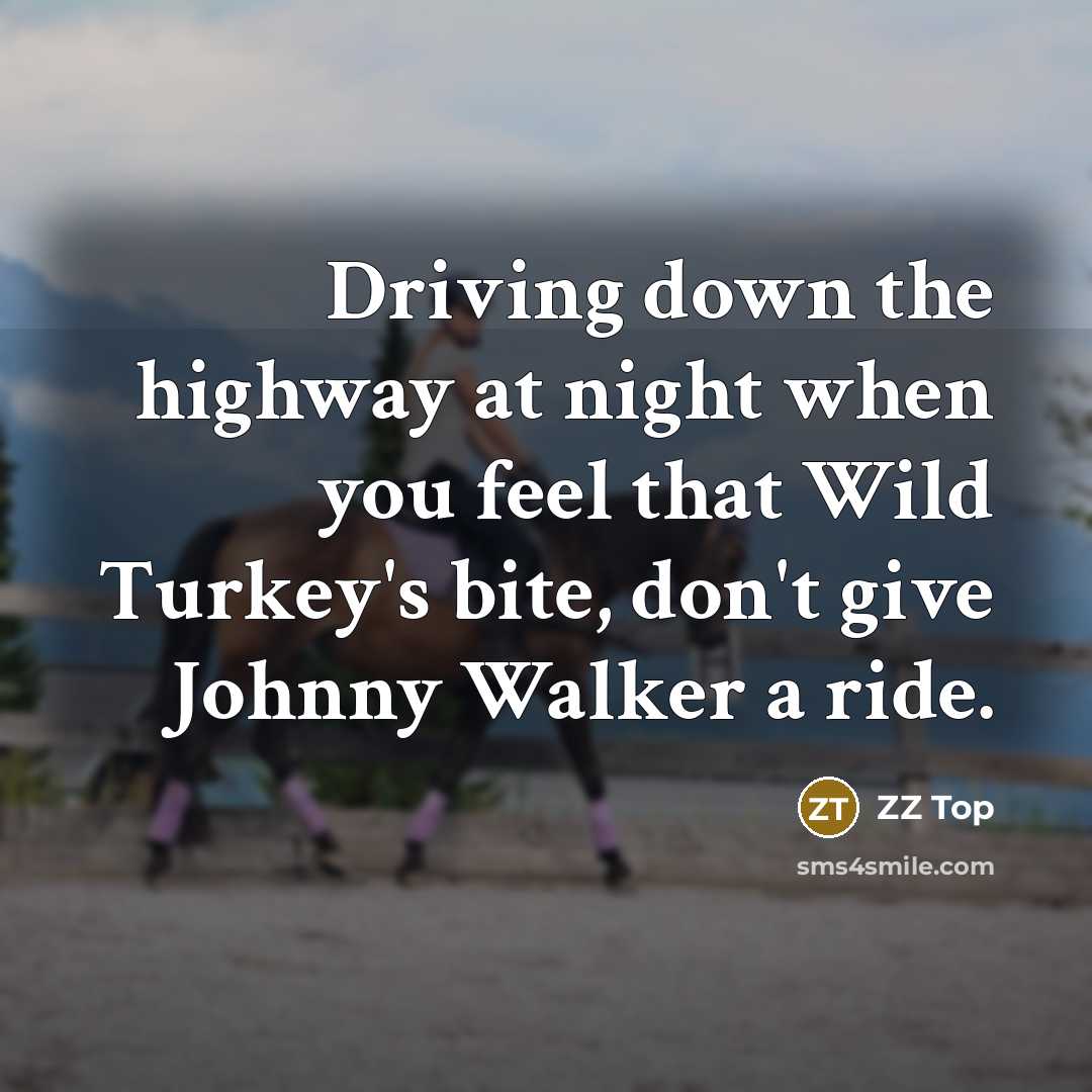 “Driving down the highway at night when you feel that…” quote by ZZ Top
