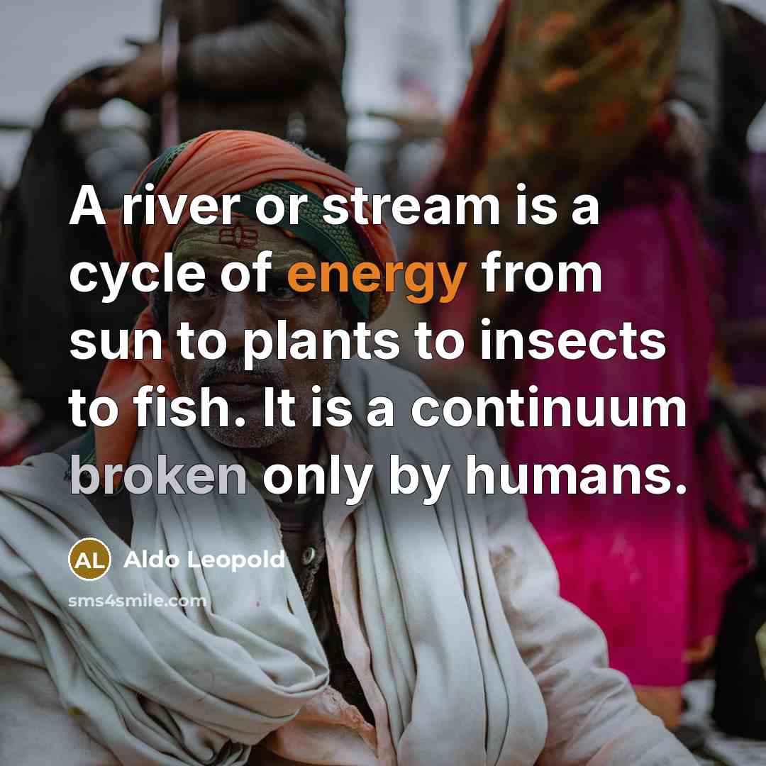 “A river or stream is a cycle of energy from…” quote by Aldo Leopold
