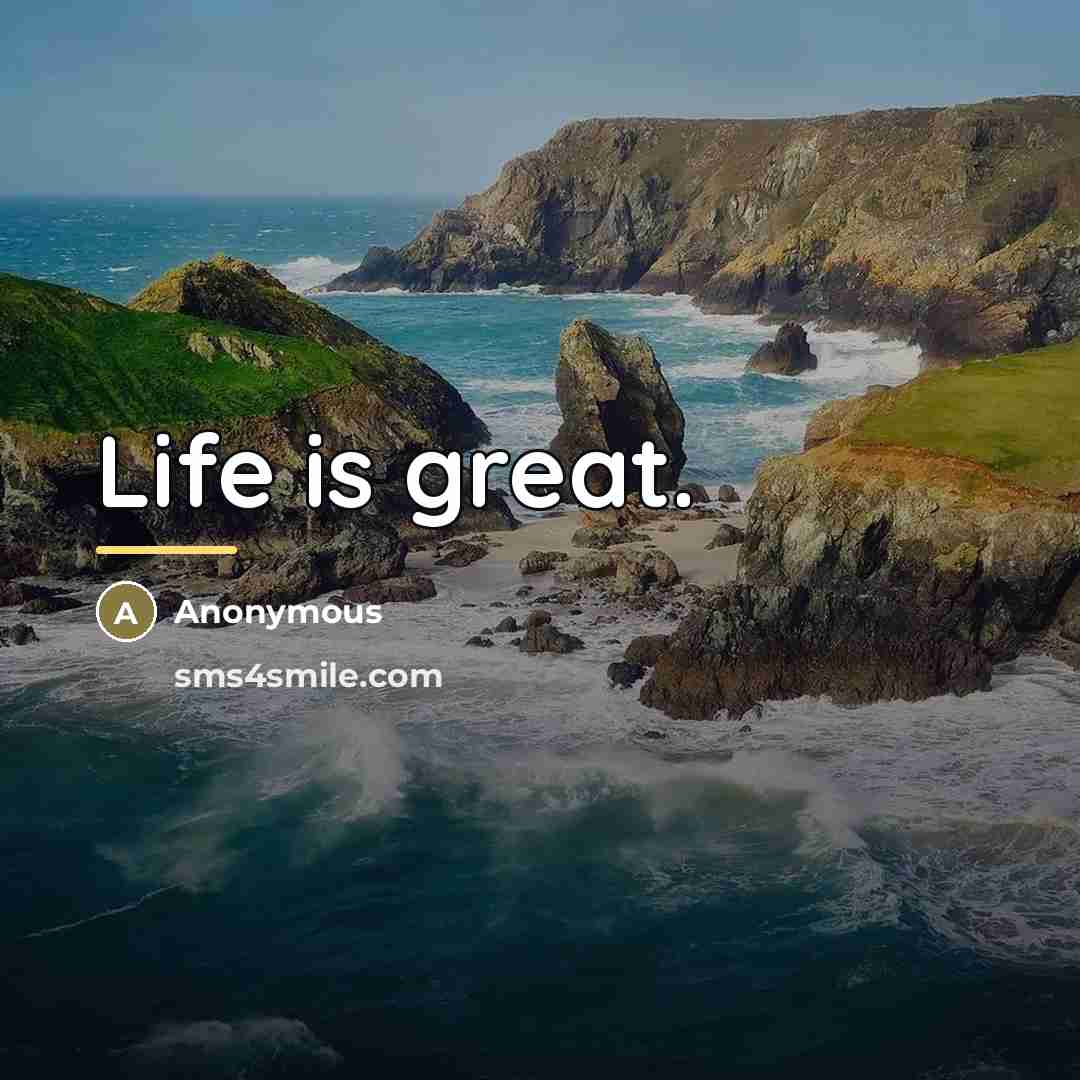 “Life is great.…” quote by Anonymous
